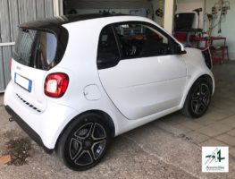 smart gpl,nuova smart,gpl,w453